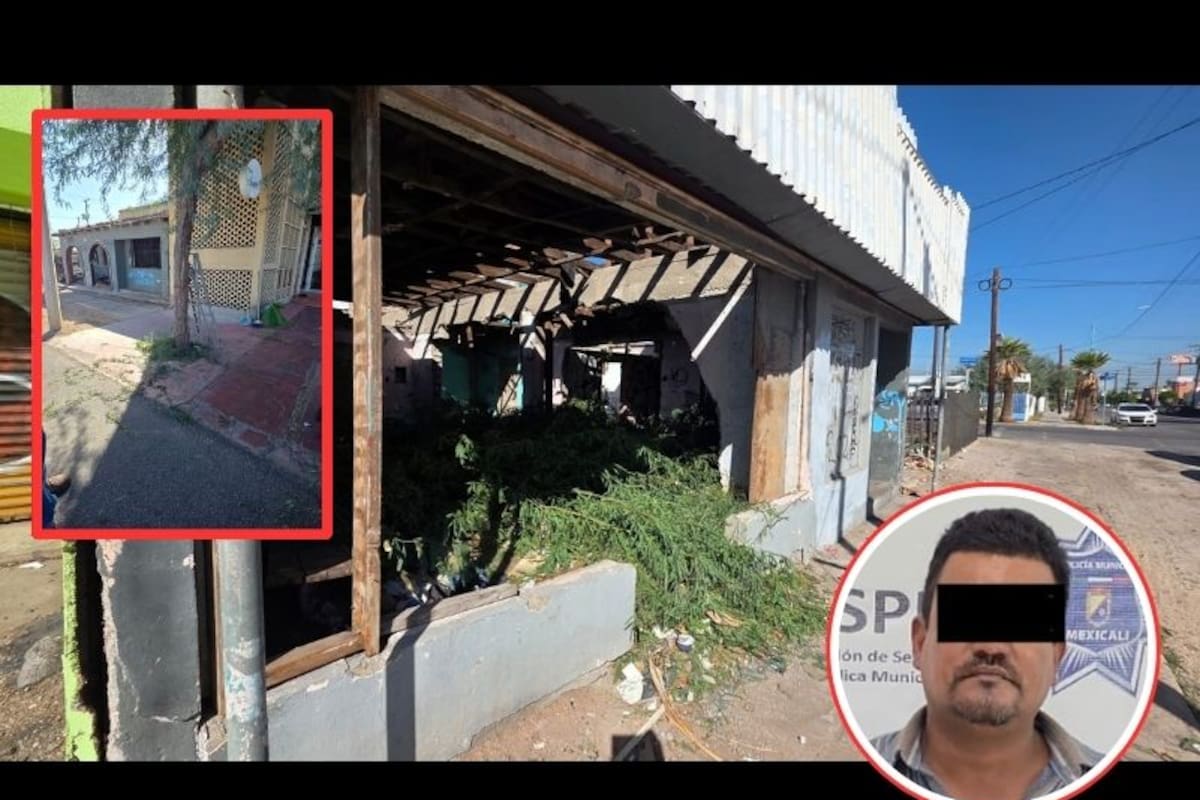 Arrestan a hombre por tirar ramas en una casa abandonada en la colonia Industrial