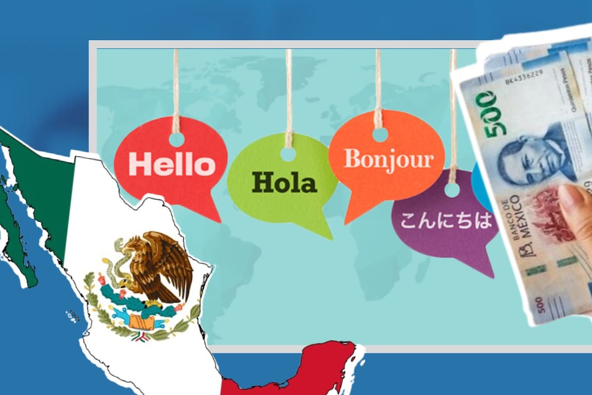 ¡No es el inglés! Este es el idioma mejor pagado en México