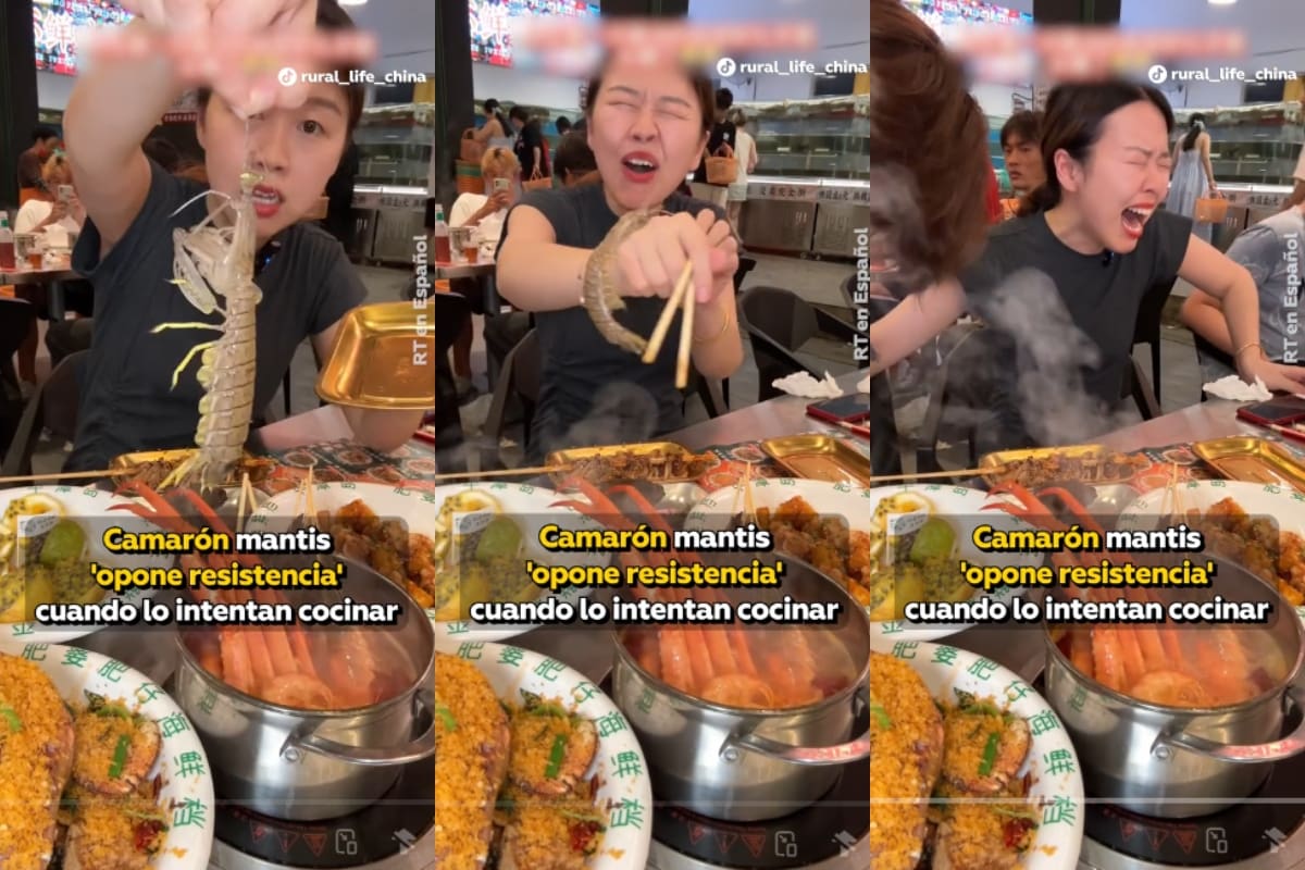 VIRAL: ¡mujer sufre ataque de un camarón mantis mientras intenta cocinarlo!