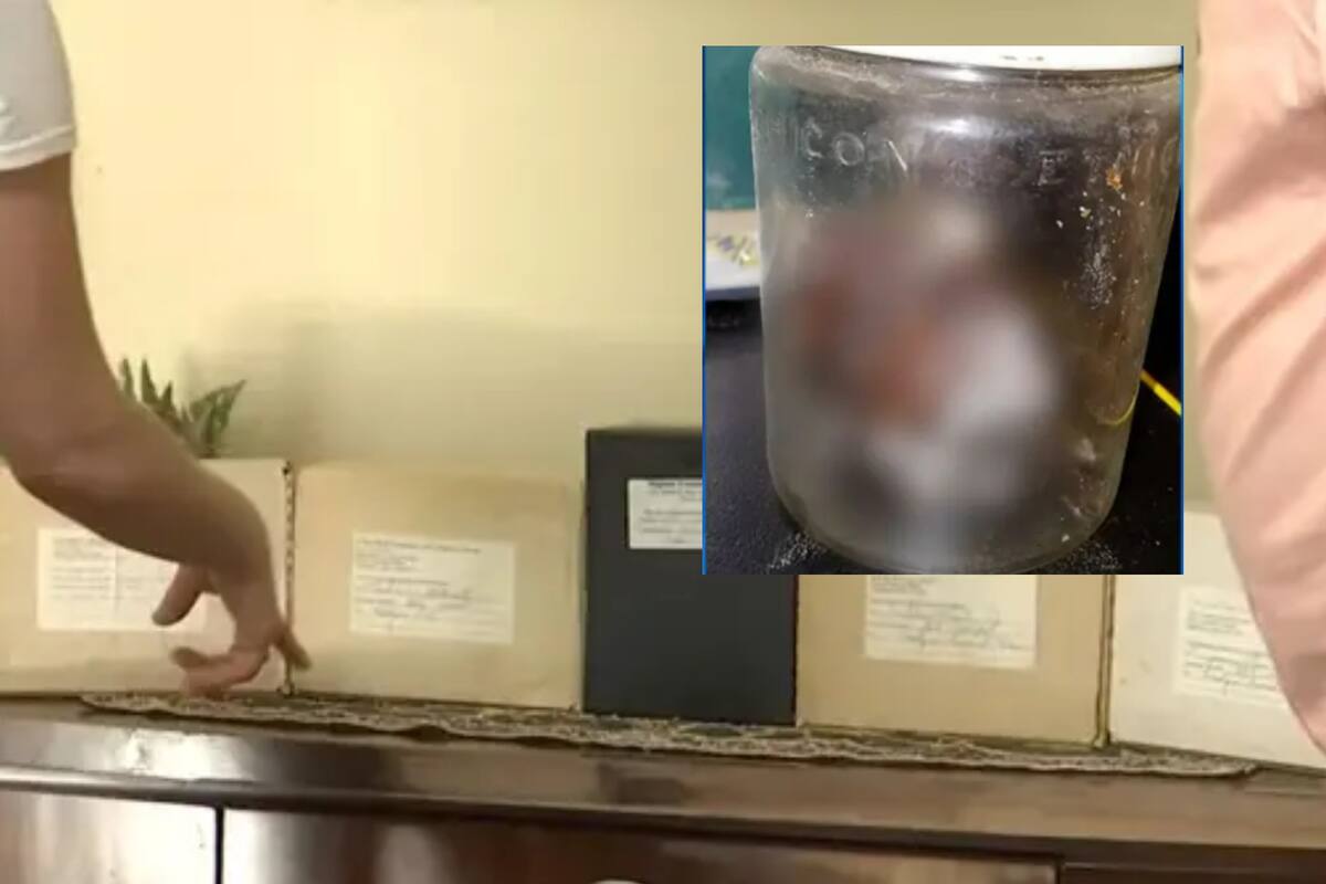 Mujer encuentra feto humano y restos cremados en unidad de almacenamiento obtenida en una subasta