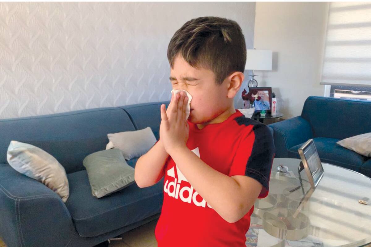 Si es alérgico hacer ejercicio en casa puede ayudarle