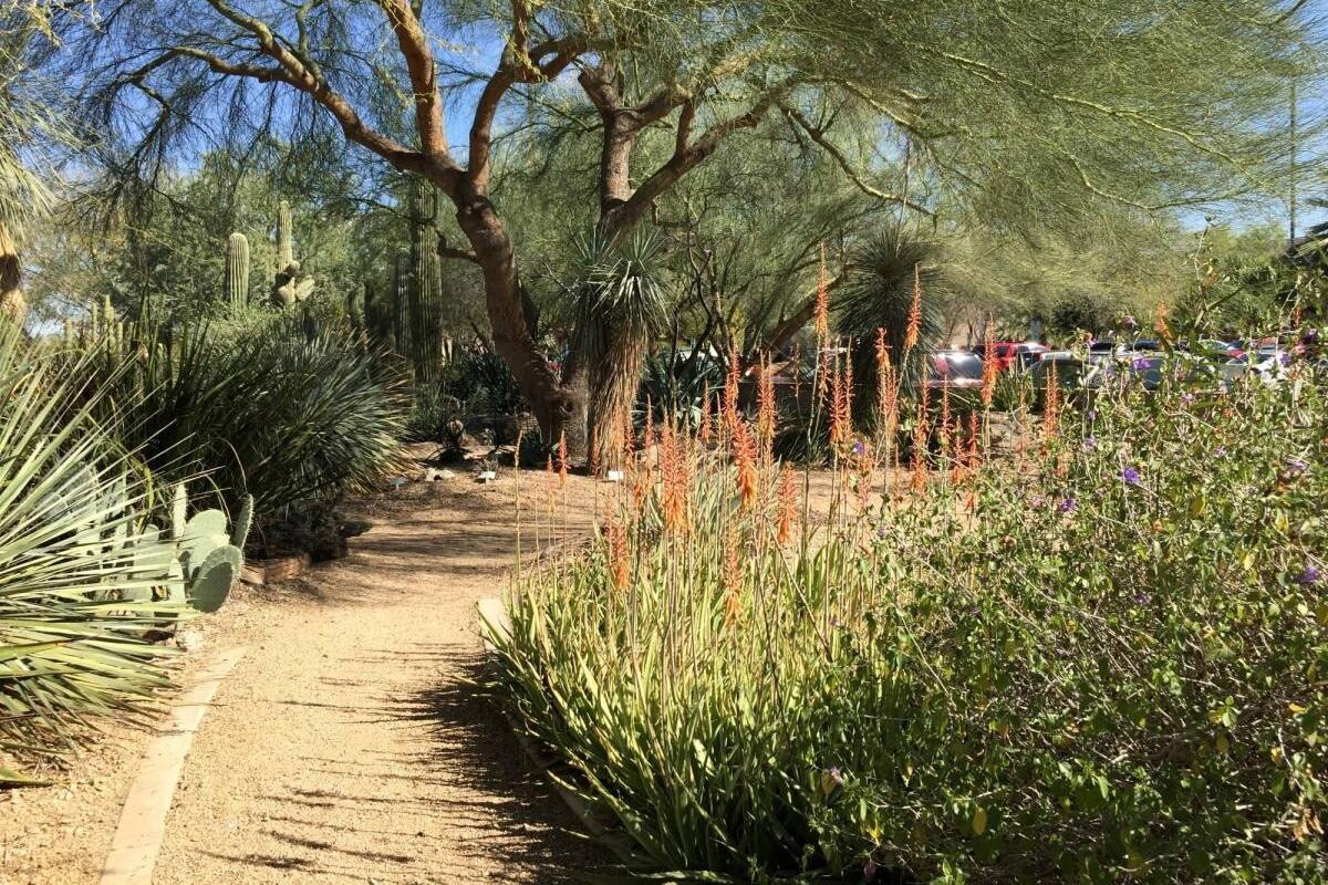 Xeriscape Demonstration Garden: un jardín sostenible en Glendale