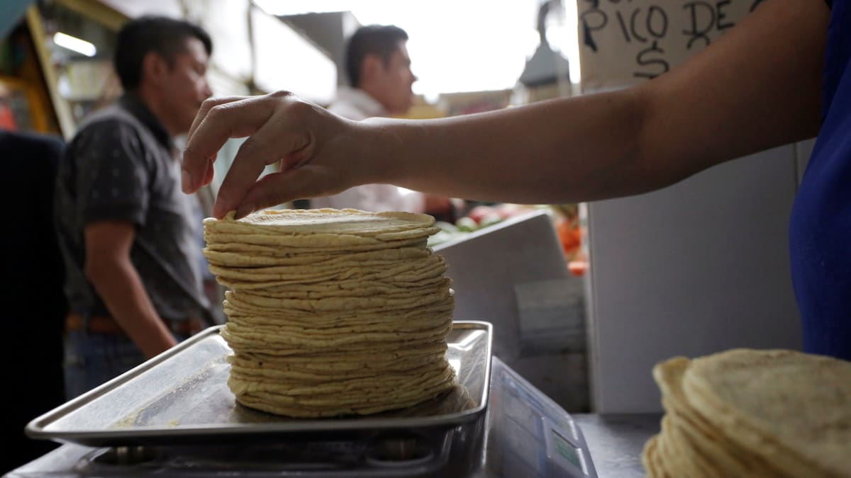 Ley de EEUU obligó a agregar un nuevo ingrediente a todas las tortillas de maíz vendidas en esta zona a partir del 1 de enero de 2026: ¿Qué implica y por qué importa a los consumidores?