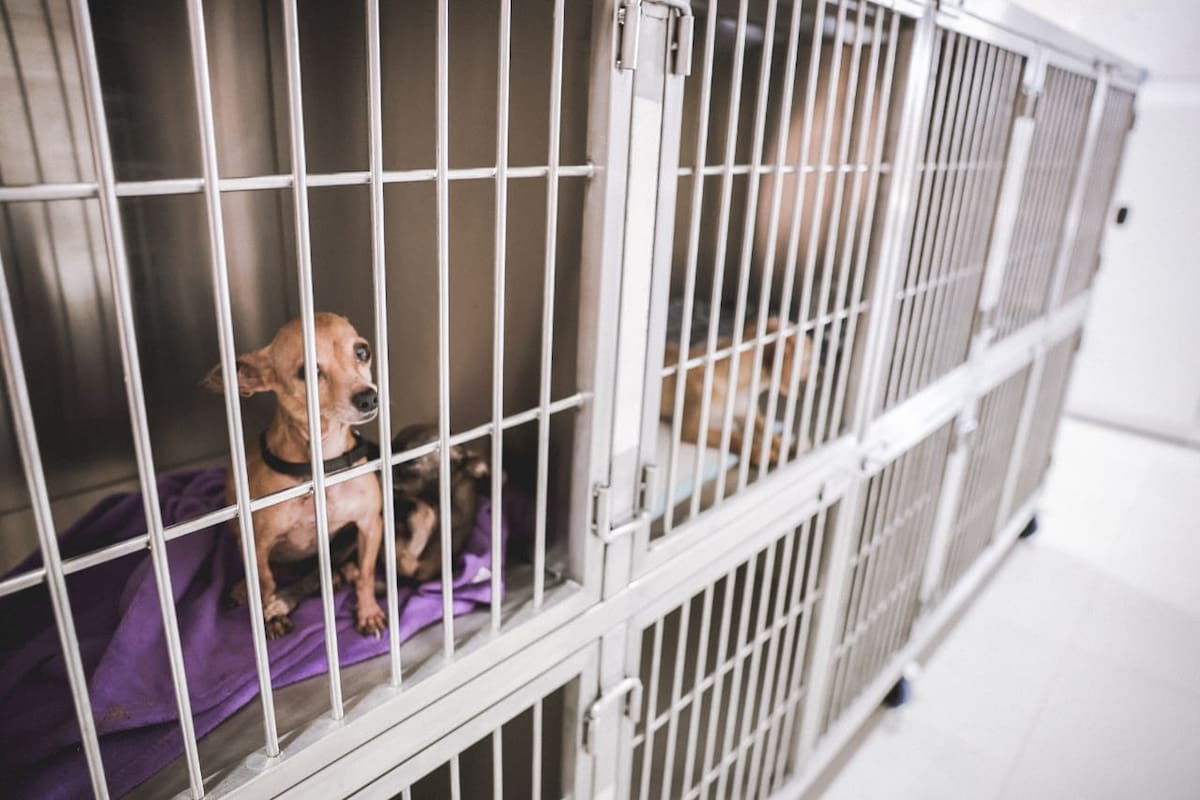 Foto: Daniel Reséndiz