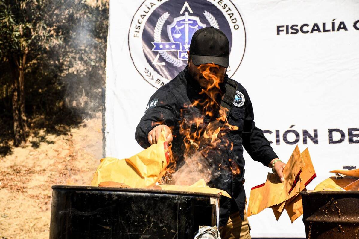 En total se incineraron 321.77 kilogramos de distintos narcóticos decomisados.