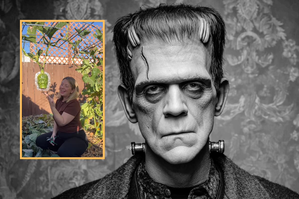 Mujer se vuelve viral por poner un molde de Frankenstein en su huerto; ahora sus calabacitas tienen su cara