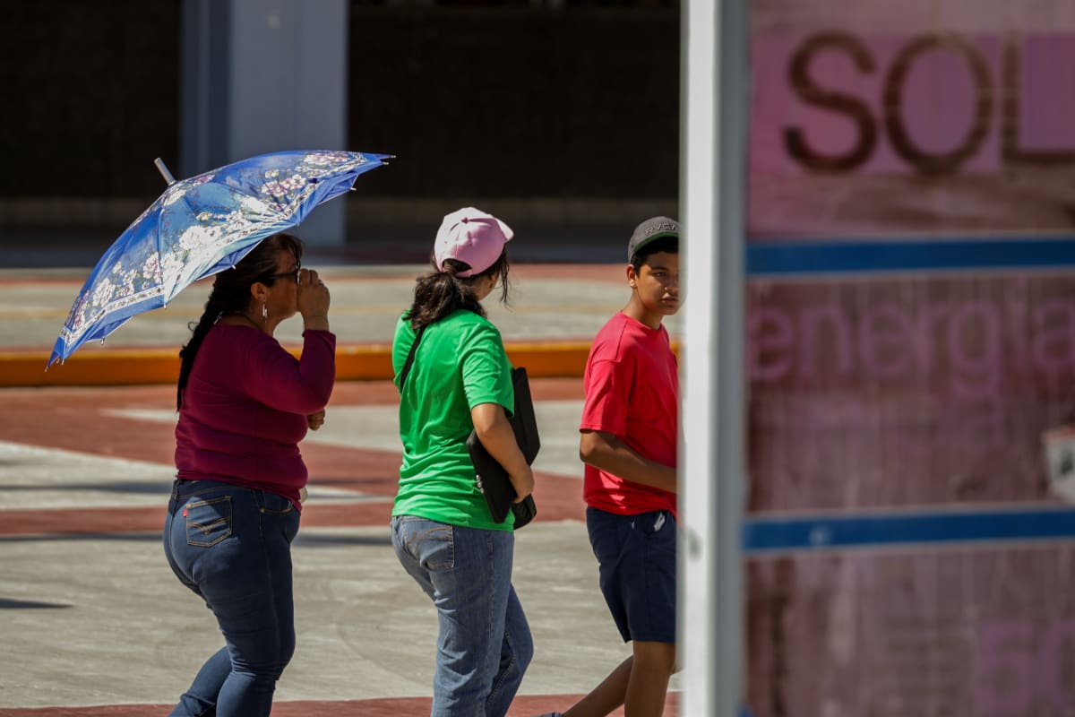 Mexicali después del verano: el calor también dañó fachadas, anuncios, autos y árboles