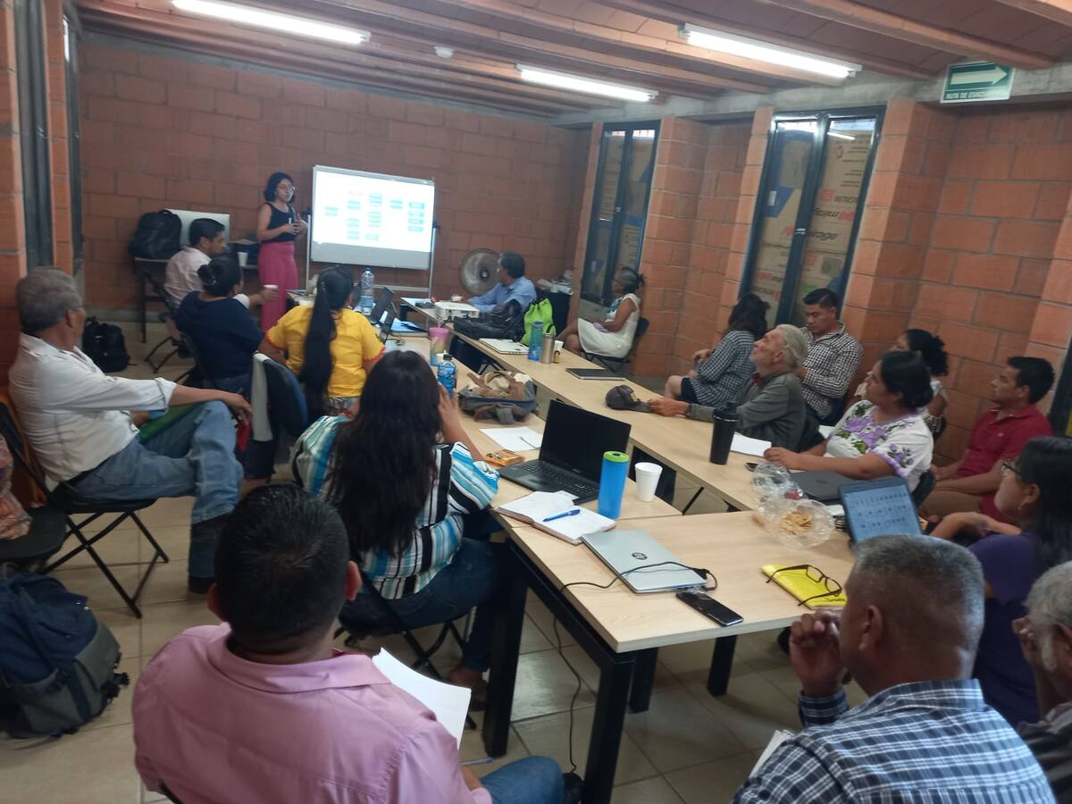 Los maestros participaron en el proyecto “Traducción de antologías de los libros de texto gratuitos a 20 lenguas indígenas. Educación primaria y secundaria 2023”.
FOTO: CORTESÍA