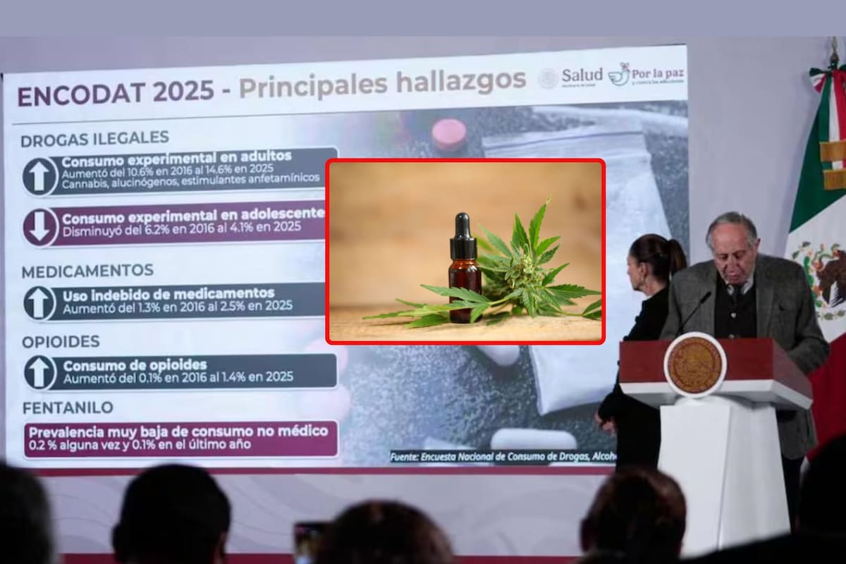 David Kershenobich presenta ENCODAT 2025: cannabis sigue como principal droga ilegal en México