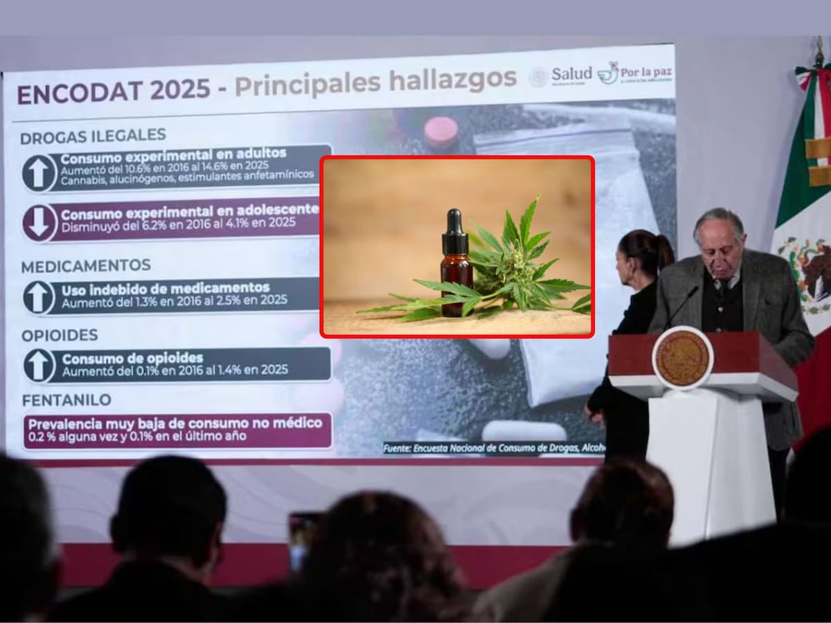 David Kershenobich, titular de la Secretaría de Salud, presenta ENCODAT 2025: cannabis sigue como principal droga ilegal en México. | Crédito: El Universal/Canva