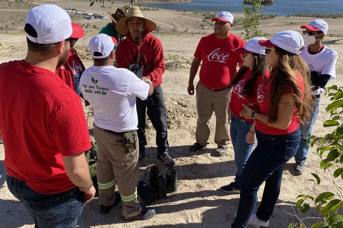 Nación Verde, Coca-Cola y gobierno reforestan en Parque Esperanto en Tijuana