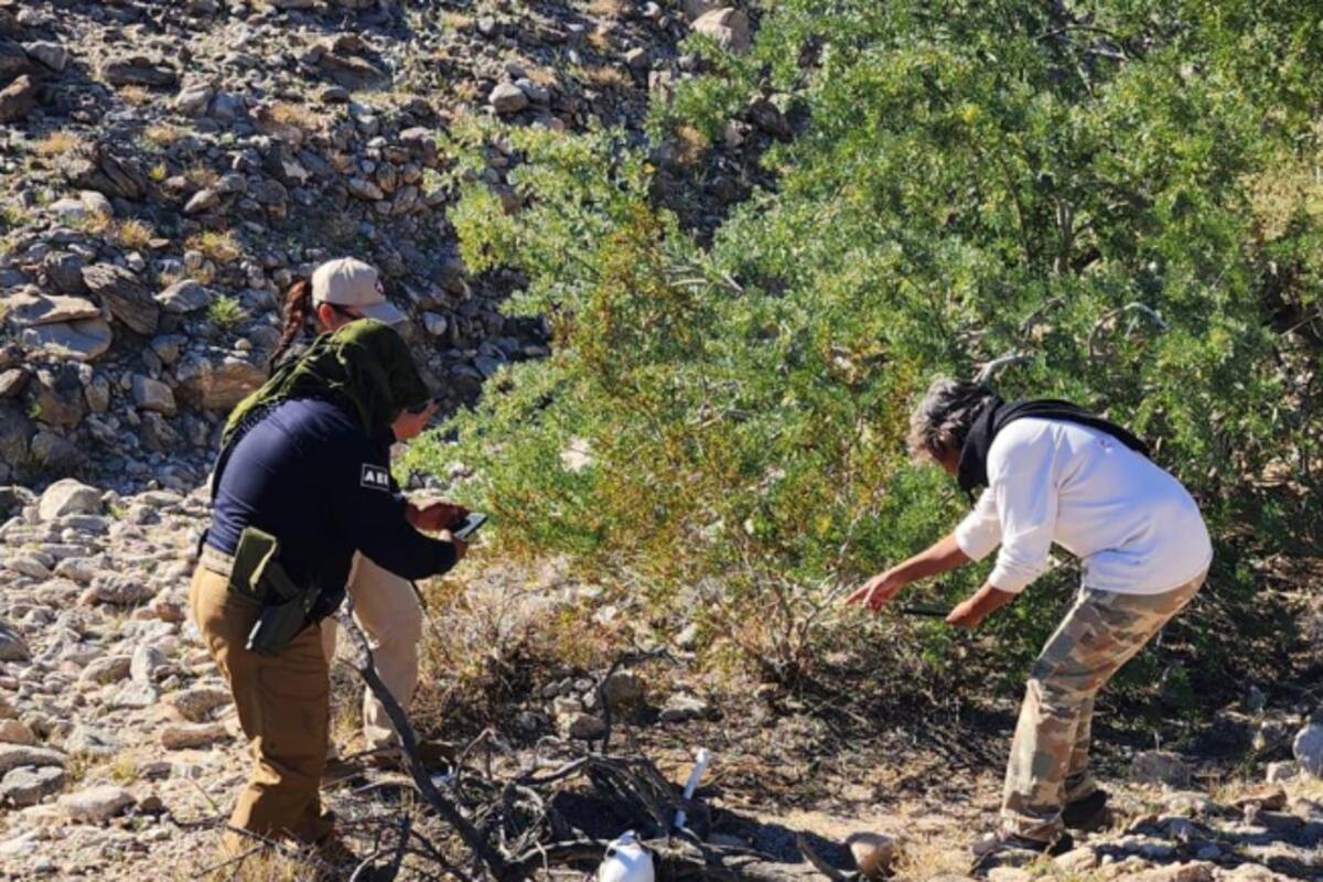 Localizan restos humanos cerca del panteón “El Centinela”