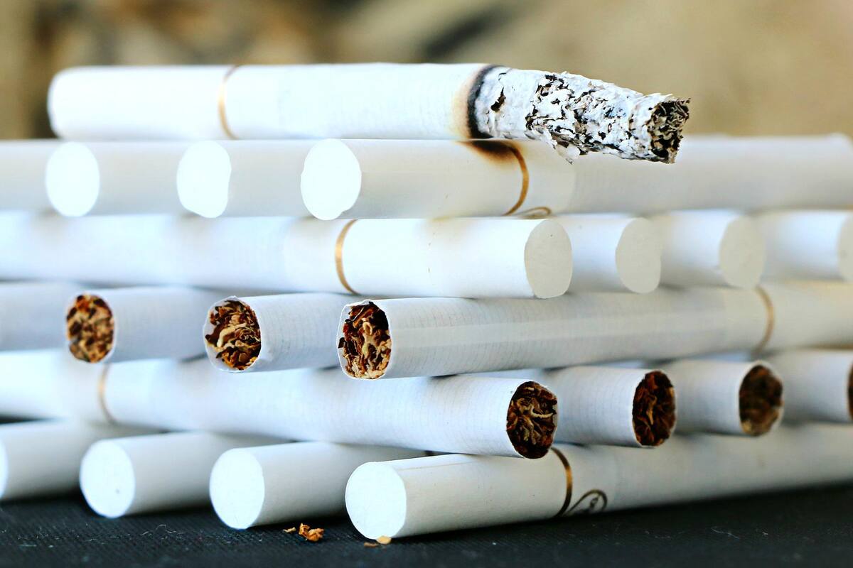Además de dañar tu salud, fumar también afecta al medio ambiente; advierte la OMS