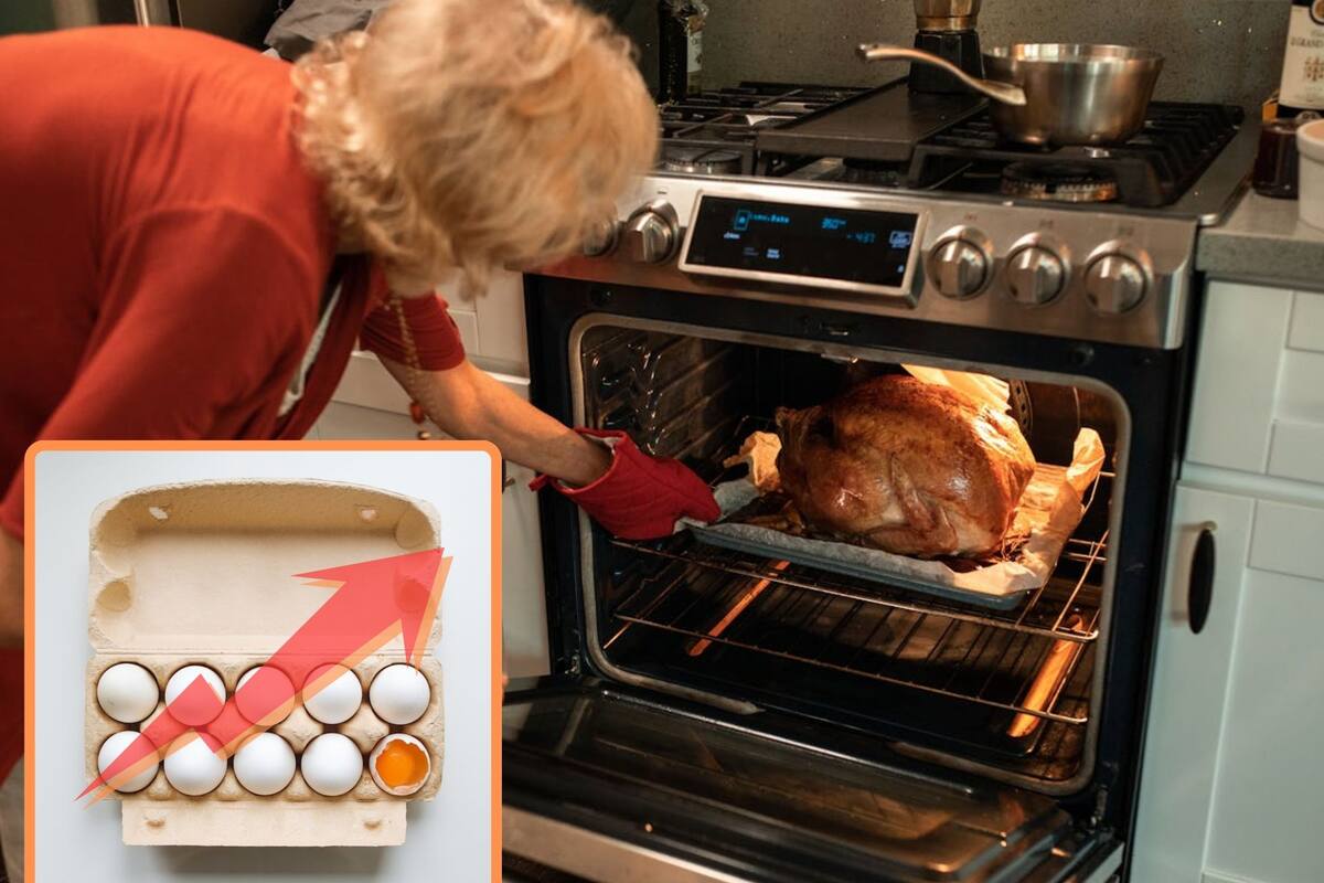 Estadounidenses celebrarán un “Thanksgiving” más costoso, debido al precio de los huevos