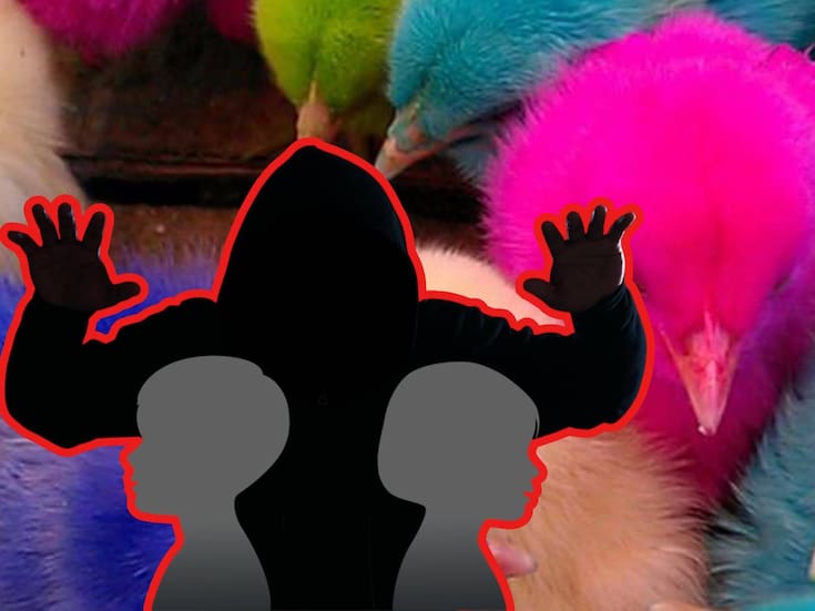 “Pollitos de colores”: La alarmante realidad del reclutamiento infantil por el crimen organizado en México