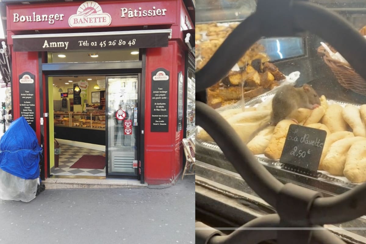 Encuentran una rata en la famosa panadería Banette de París, Francia, y se desata un escándalo en redes