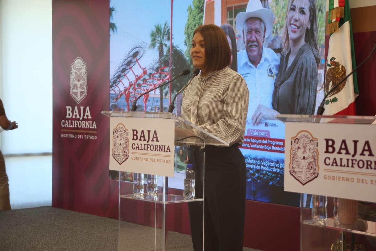 SADER avanza al 75% en entrega de apoyos de 45 mil pesos a agricultores del Valle de Mexicali