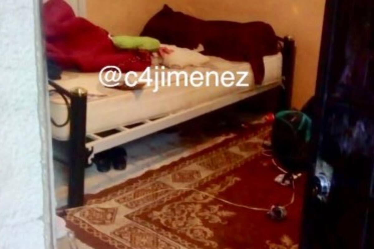 Policía mata y descuartiza a su esposa en CDMX; dejó sus restos en bolsas