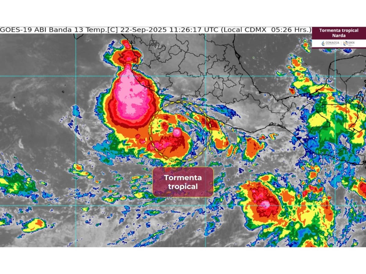 Tormenta Tropical Narda se convertirá en huracán y dejará lluvias en varios estados de México. | Crédito: SMN