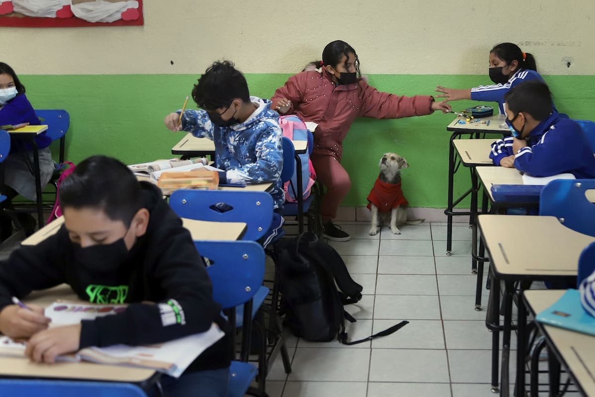Durante la pandemia 4 mil 414 niños dejaron las aulas