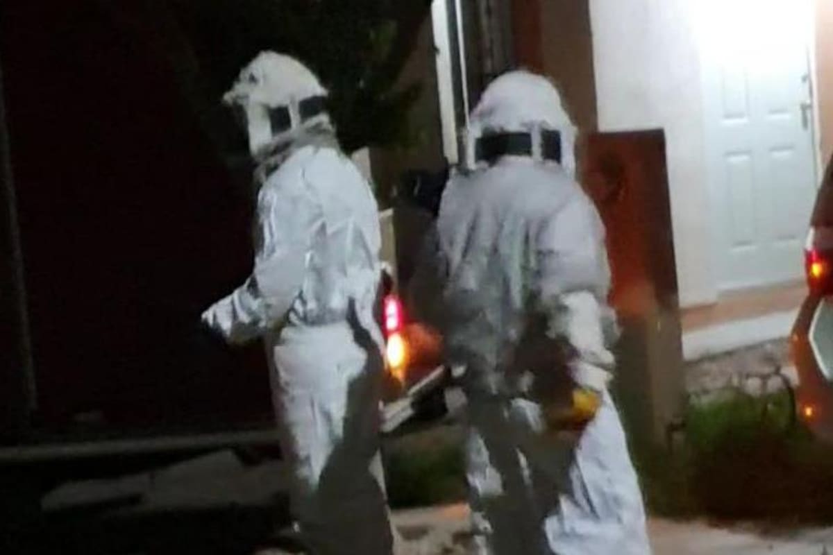 ¡Cuidado con las abejas "culichis"!