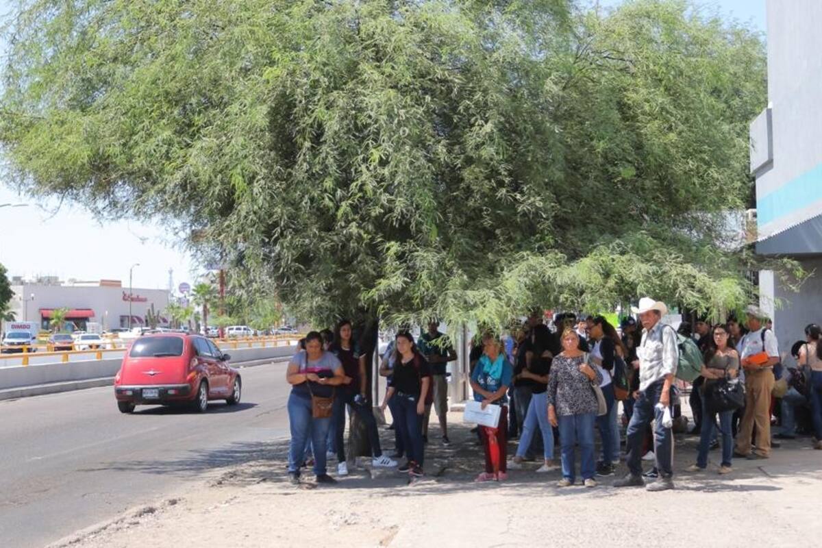 Transporte público en Sonora: Unión de Usuarios propone volver a concesiones ciudadanas