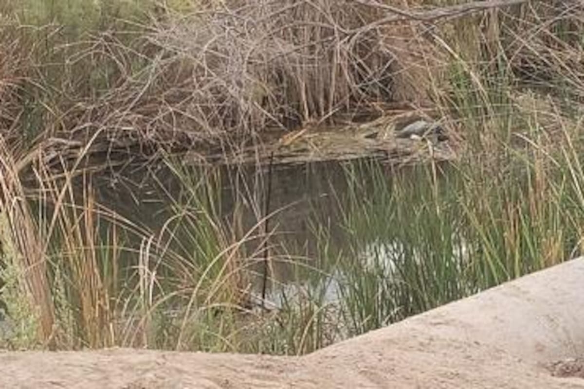 Hallan cadáver en un dren de Los Algodones