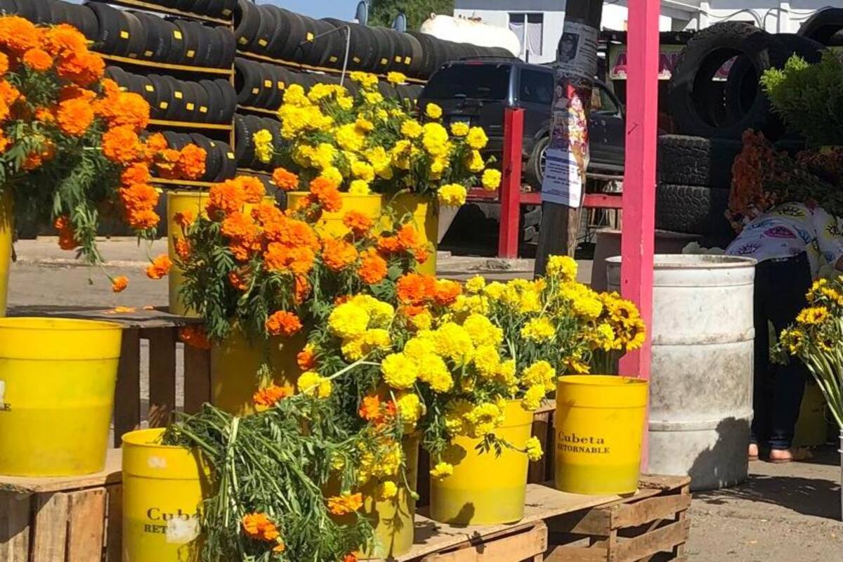 Autoridades no otorgaron nuevos permisos para venta por Día de Muertos en Rosarito