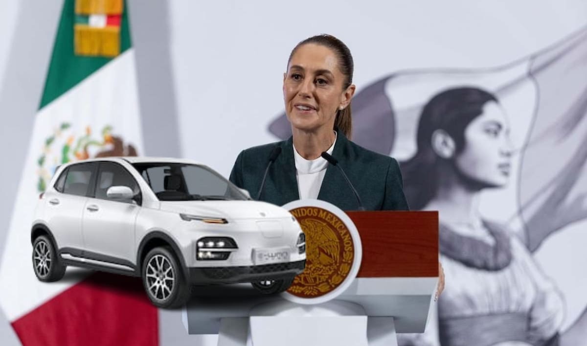 Sheimbaun destaca proyecto Olinia