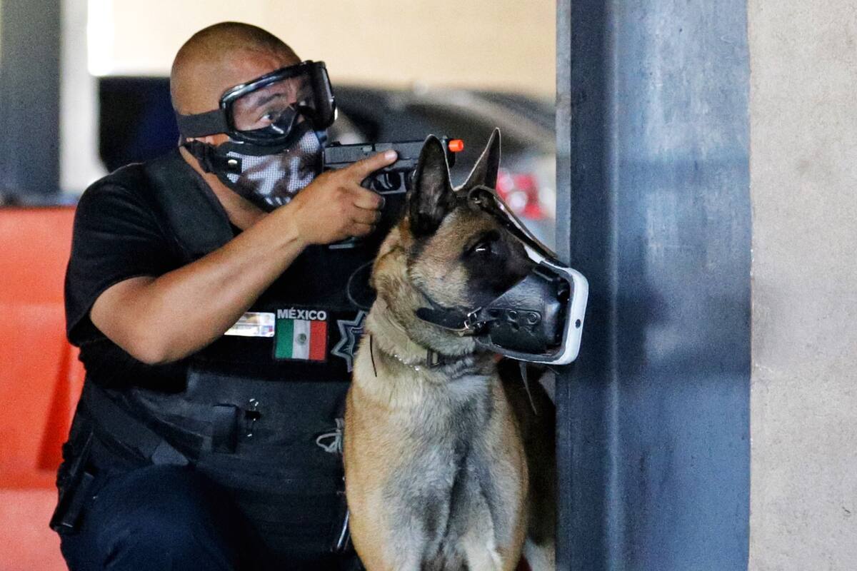 Se lleva a cabo Conferencia Perro Policía 2019 en Mexicali