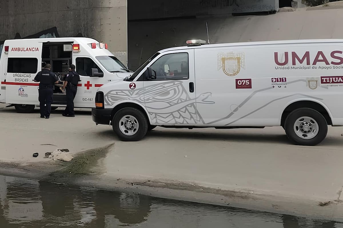 Atiende UMAS alrededor de 800 intervenciones