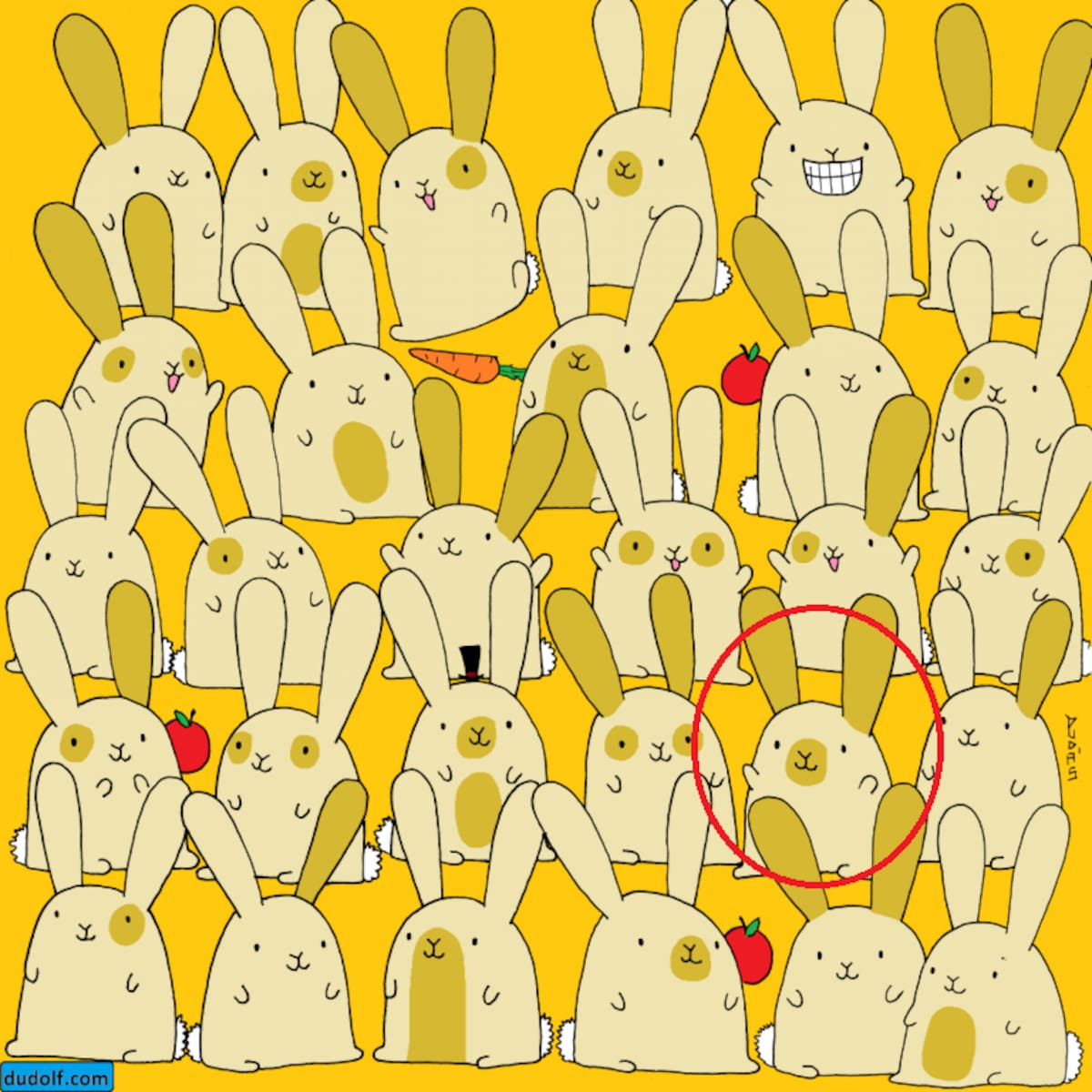 Acertijo visual: encuentra al conejo que no tiene gemelo. Solución