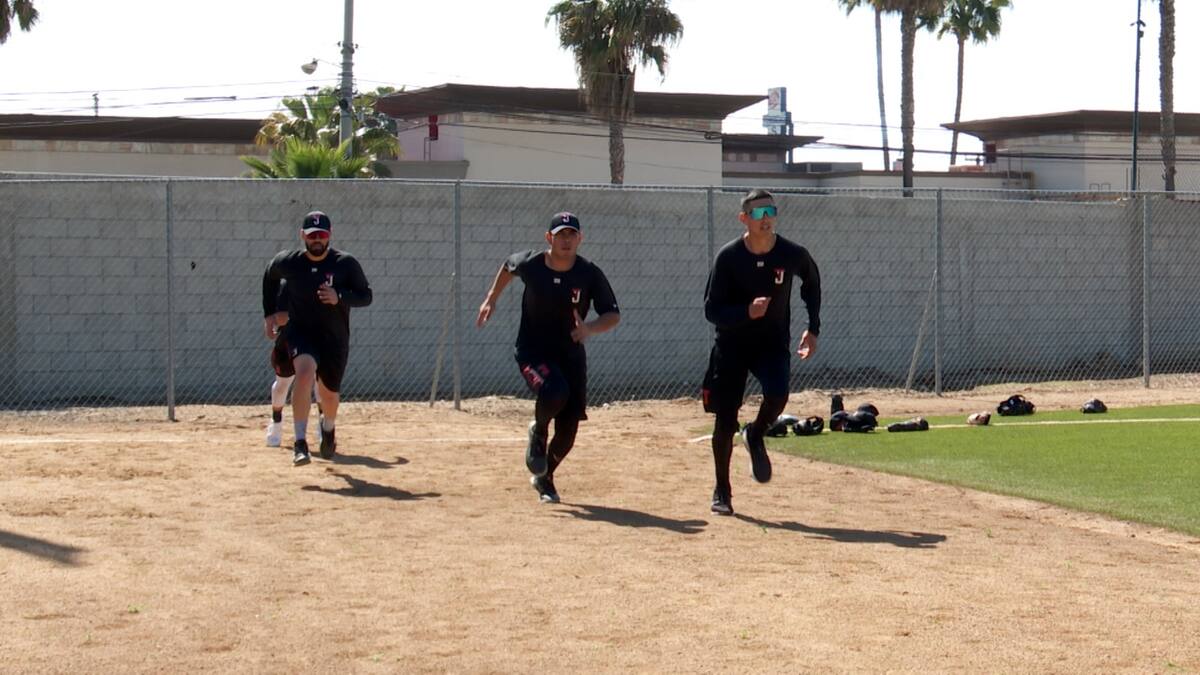 Toros