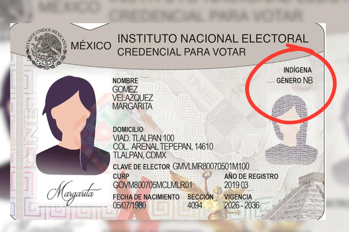 Ya es oficial: nueva credencial del INE permitirá incluir identidad de género y autoadscripción indígena