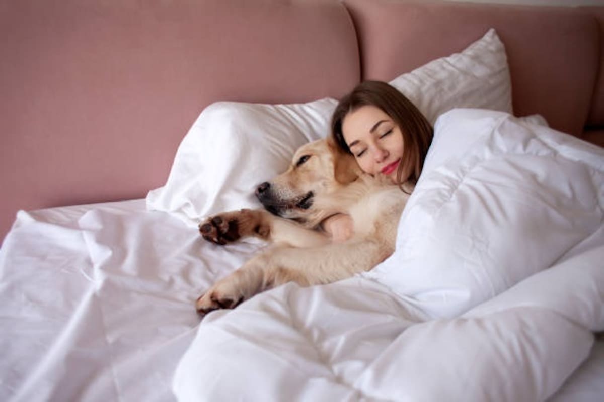 Dormir bien mejora tu estado de ánimo, advierte la IA