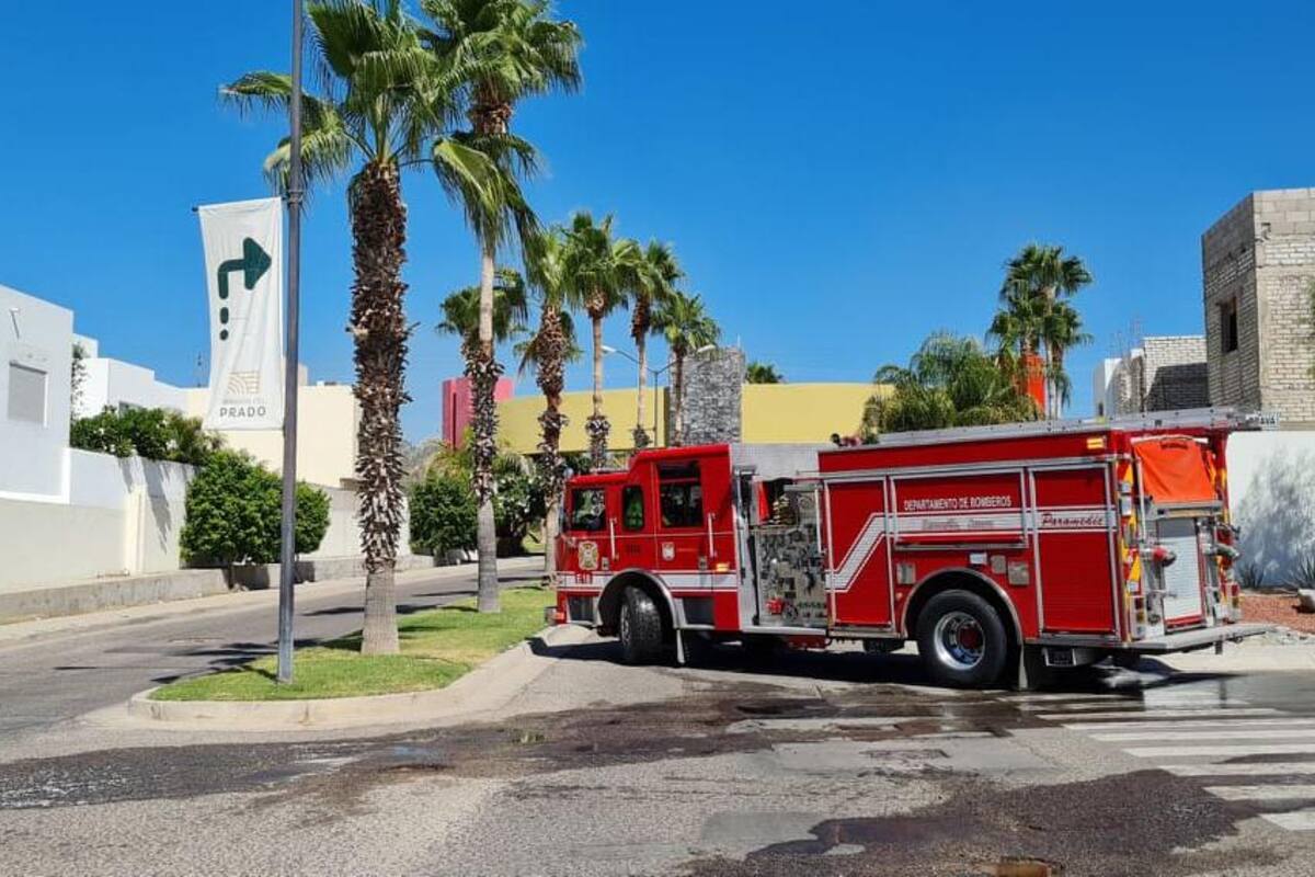 Abejas atacan a hombre en Hermosillo; Bomberos atienden el caso