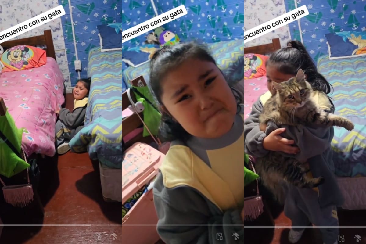 VIDEO | Niña rompe en llanto al reencontrarse con su gata perdida tras 6 meses de búsqueda