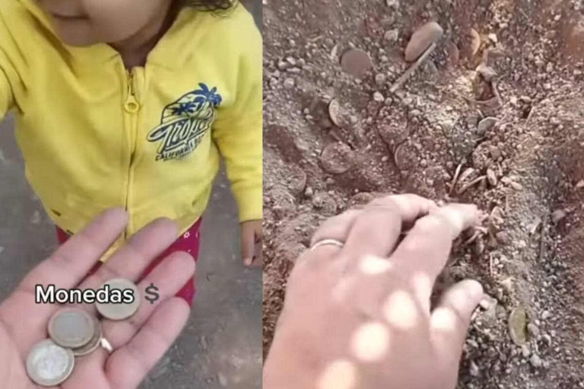 Hombre lleva a su hija al parque, descubre que sacaba dinero de una gran cantidad enterrada en el suelo