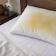 El remedio casero para limpiar almohadas con manchas amarillas que ayuda a eliminar residuos, malos olores y bacterias sin productos costosos
