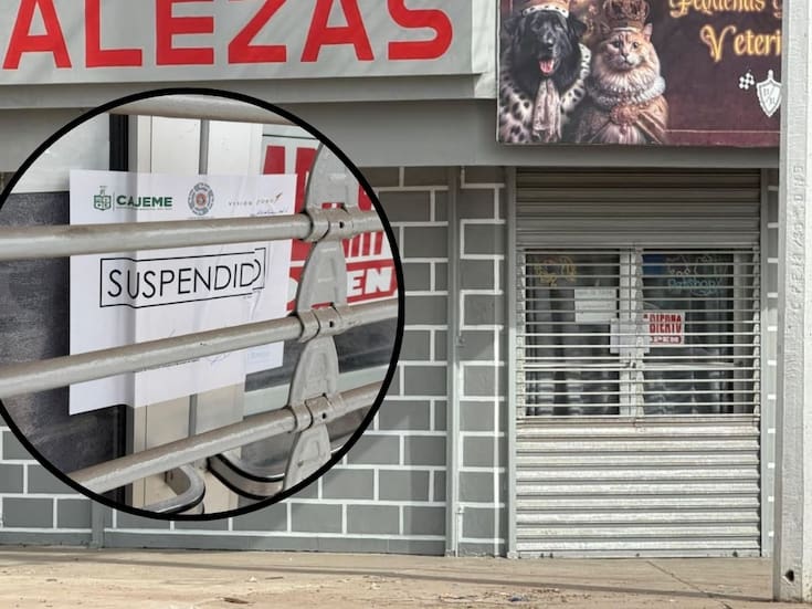 Protección Civil suspende crematorio veterinario en la colonia Constitución
