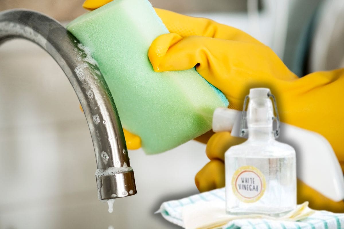 Cómo quitar restos de sarro de grifos y duchas con vinagre