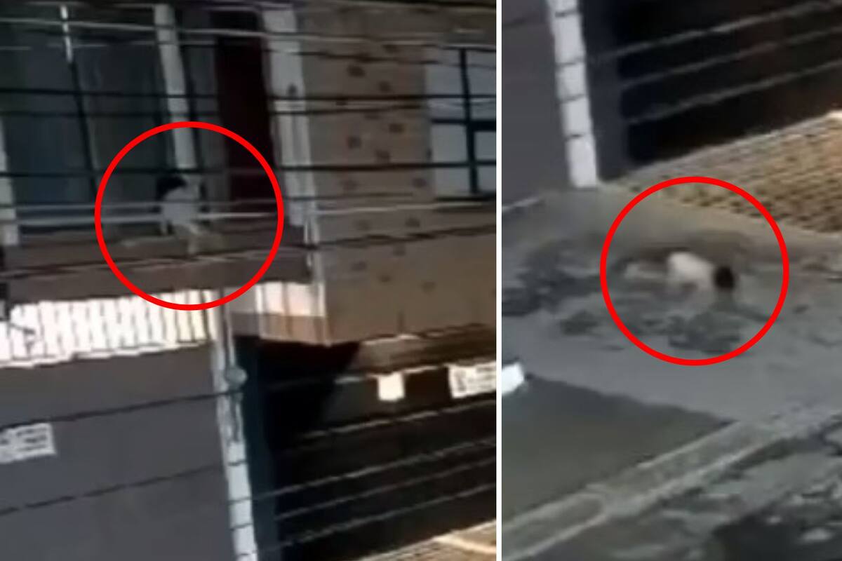 Video: Bebé cae desde un segundo piso en Puebla