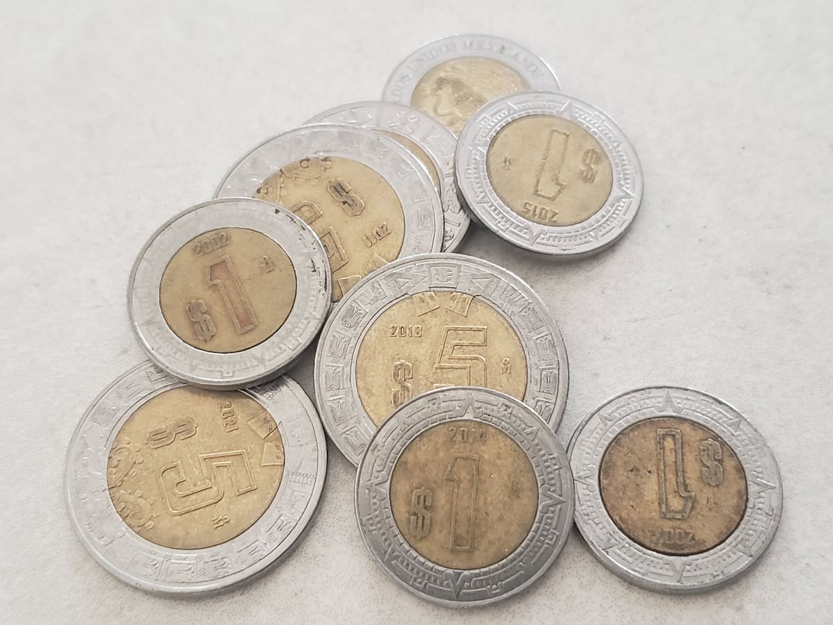 Las nuevas monedas de 1 peso son las que se pusieron en circulación a partir de 1996