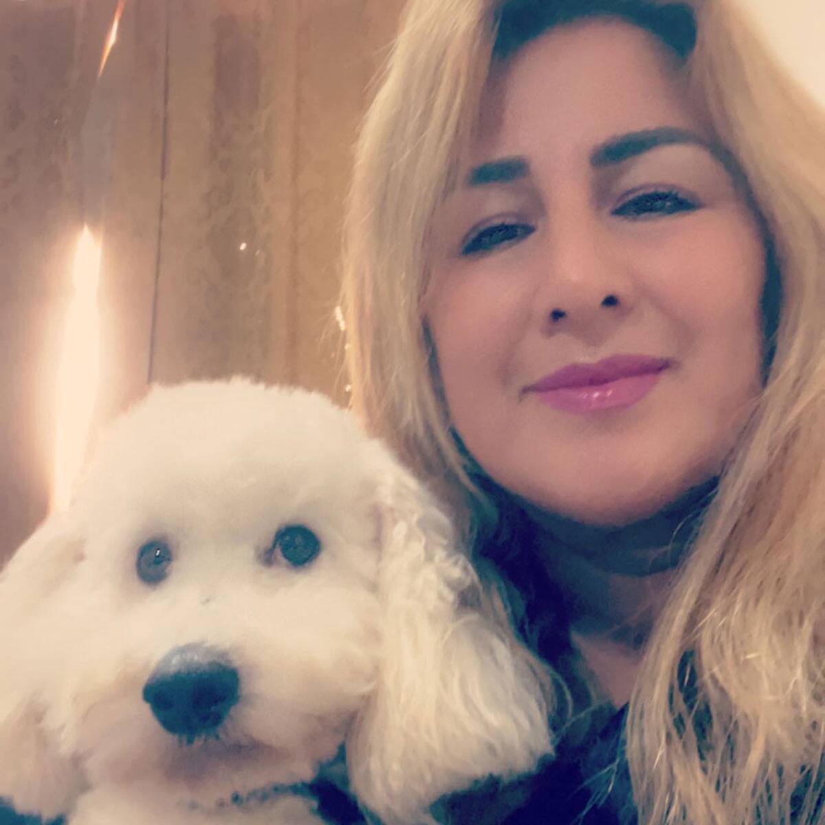 "Patitas firmes" pide el apoyo de los tijuananses.