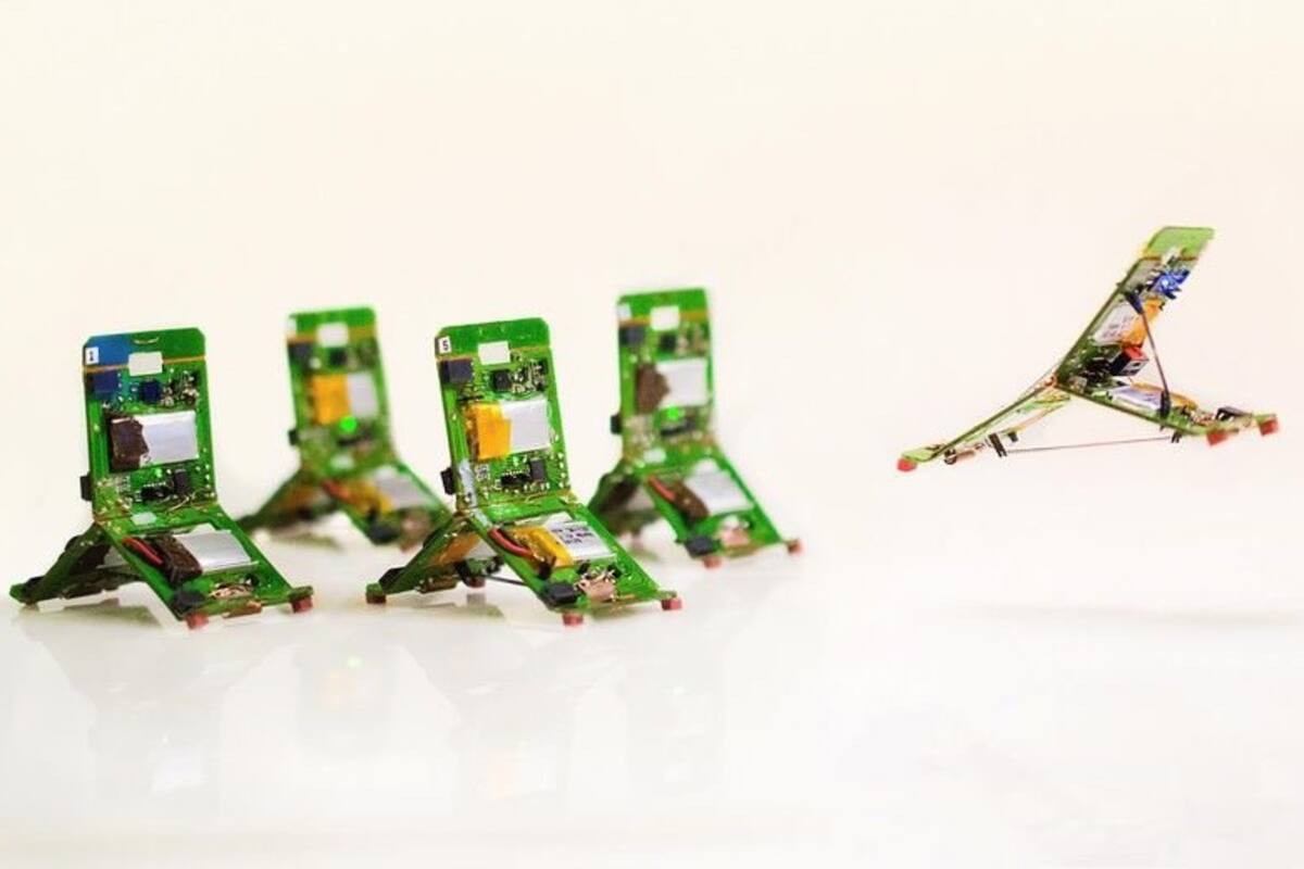 Las hormigas robot que se unen para superar obstáculos