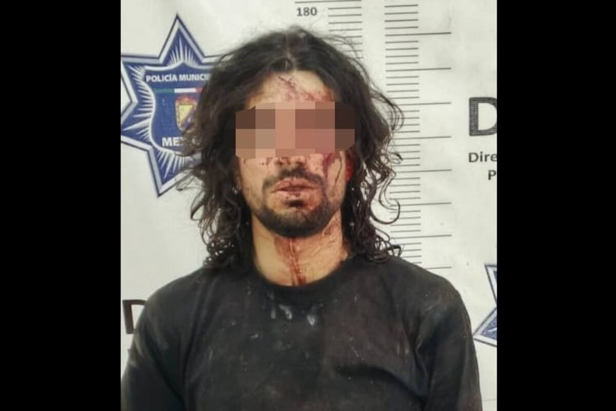 Lo sorprende dentro de su casa y termina sometido tras golpear al dueño