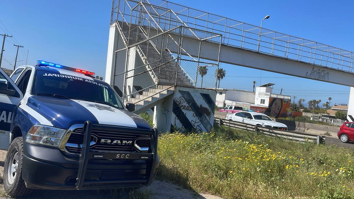 El operativo se realizó sobre la carretera Escénica.