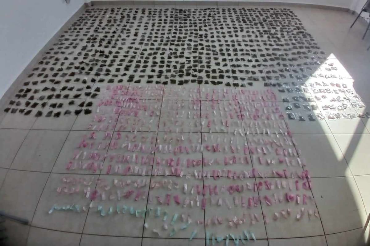 Los narcóticos asegurados fueron entregados a la agencia del Ministerio Público, que continuará con las investigaciones correspondientes para determinar el origen de las sustancias y su posible relación con redes de distribución en la región. Foto: Especial