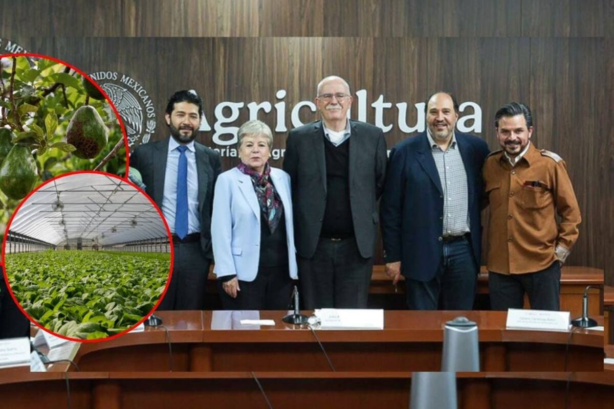 México lanza programa para regular la agroexportación: formalidad laboral a los jornaleros agrícolas