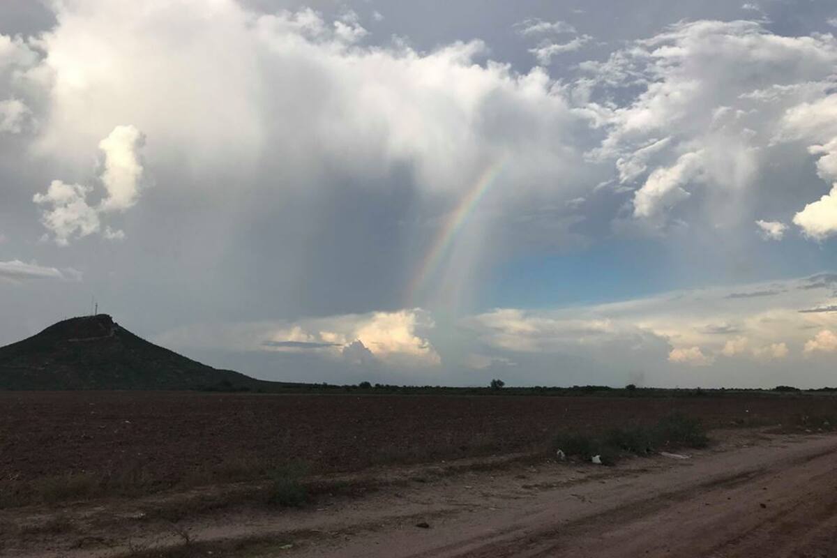 Sequía en Sonora: Se requiere precisiónal aplicar yoduro de plata a las nubes